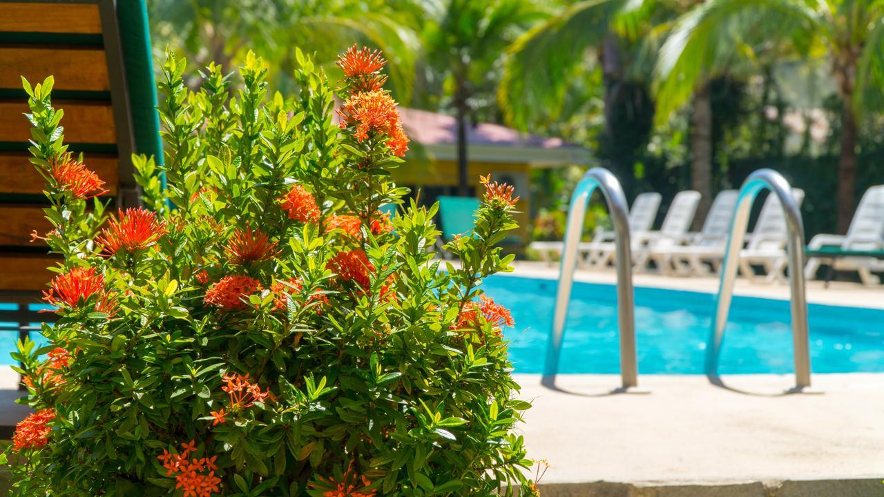 Hotel Isolina Beach Potrero  Exteriér fotografie